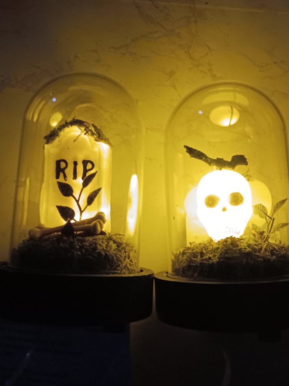 🎃 2 Halloween LED Lit Dome Tombstone + Skull Decorative Cloche Hyde and EEK!
